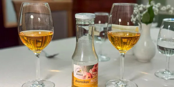 Gostilna in hotel Delalut Vinska ponudba